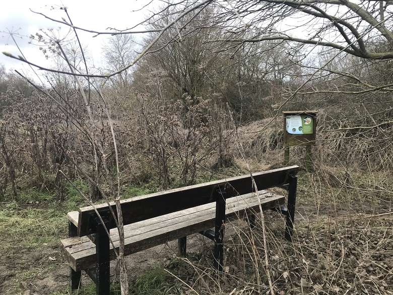 BENCH MARKING SWIM